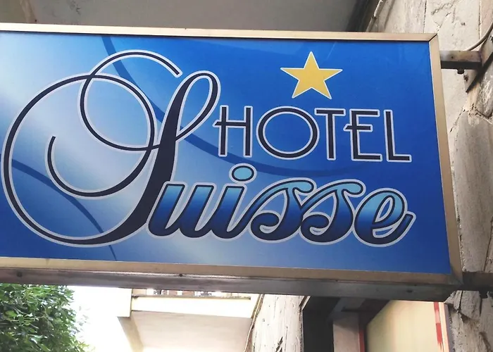 酒店 叙伊斯酒店 *